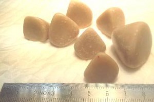 Сравнительные размеры камней и мочевого пузыря у собаки при запущенной МКБ